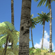 Illustration for article titled Why Everything Keeps Staring At Me In ARK: Survival Evolved